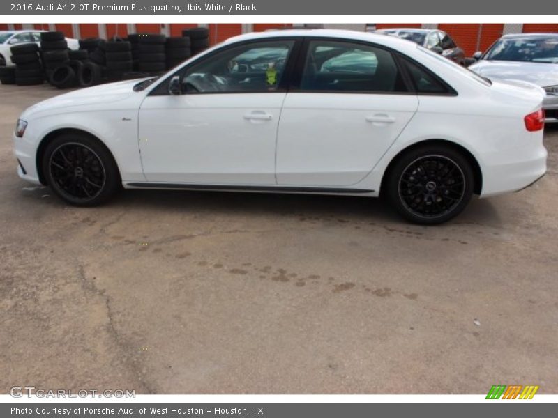 Ibis White / Black 2016 Audi A4 2.0T Premium Plus quattro