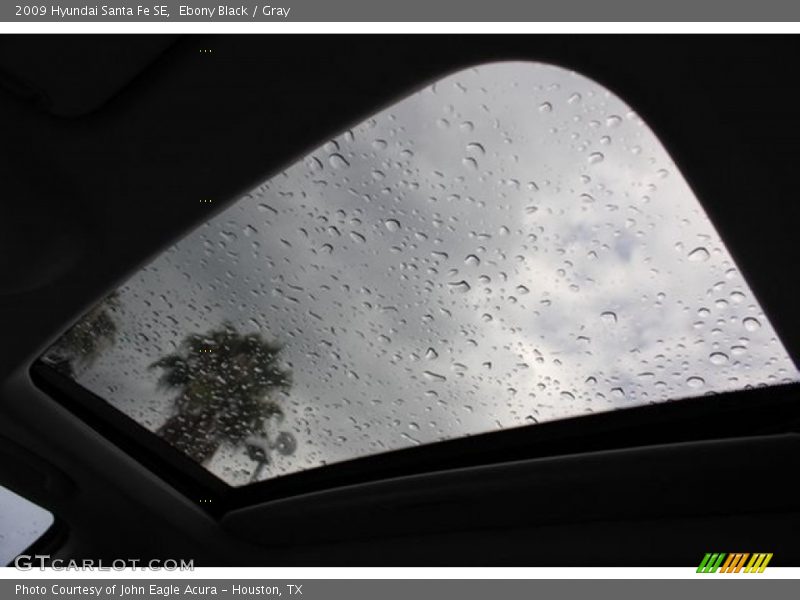 Ebony Black / Gray 2009 Hyundai Santa Fe SE