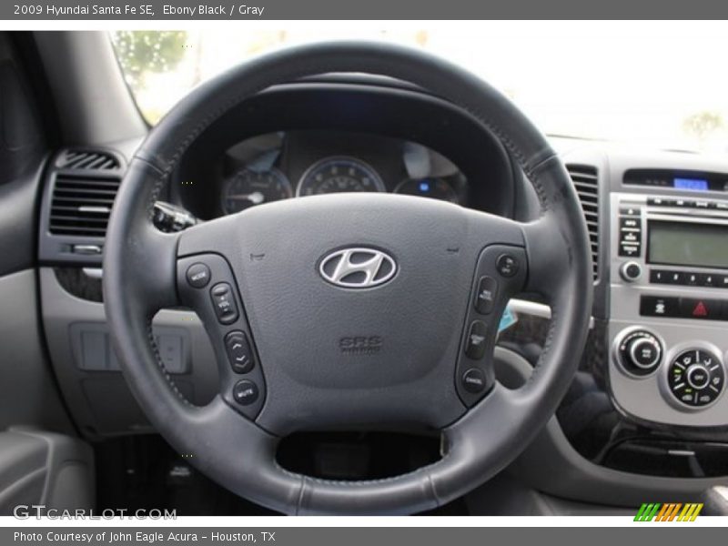 Ebony Black / Gray 2009 Hyundai Santa Fe SE