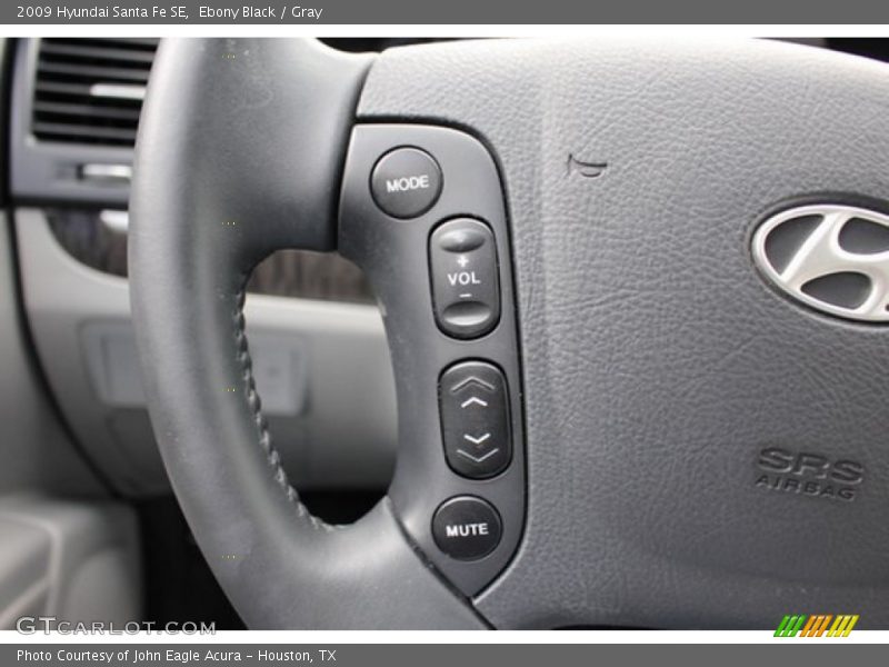 Ebony Black / Gray 2009 Hyundai Santa Fe SE