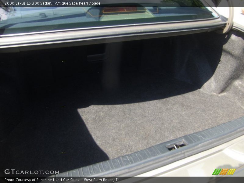 Antique Sage Pearl / Sage 2000 Lexus ES 300 Sedan