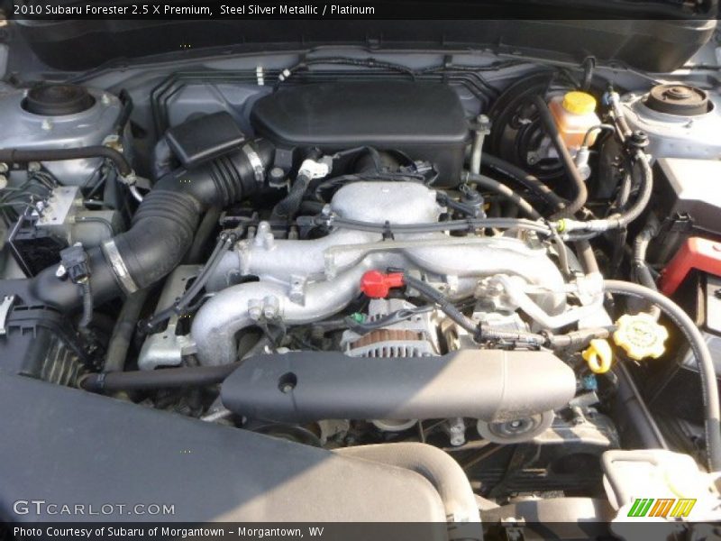 Steel Silver Metallic / Platinum 2010 Subaru Forester 2.5 X Premium