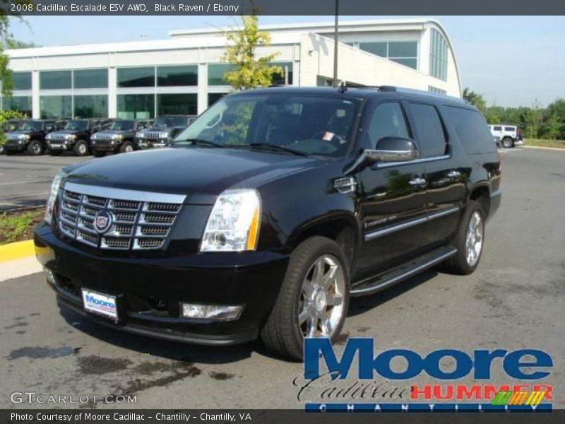 Black Raven / Ebony 2008 Cadillac Escalade ESV AWD