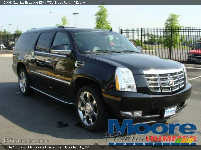 Black Raven / Ebony 2008 Cadillac Escalade ESV AWD