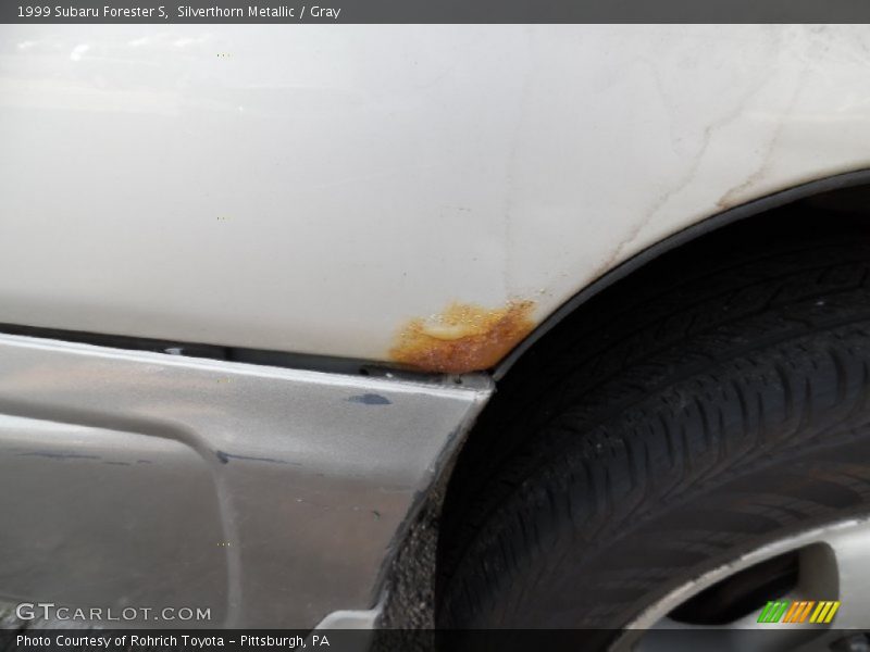 Silverthorn Metallic / Gray 1999 Subaru Forester S