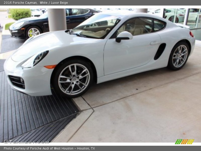  2016 Cayman  White