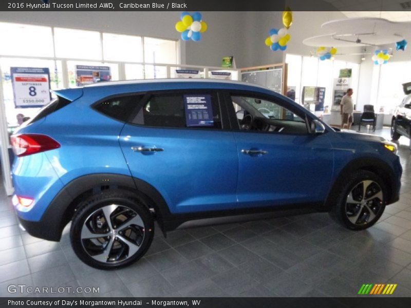Caribbean Blue / Black 2016 Hyundai Tucson Limited AWD