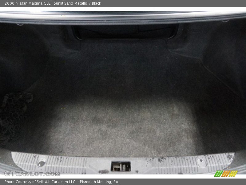 Sunlit Sand Metallic / Black 2000 Nissan Maxima GLE