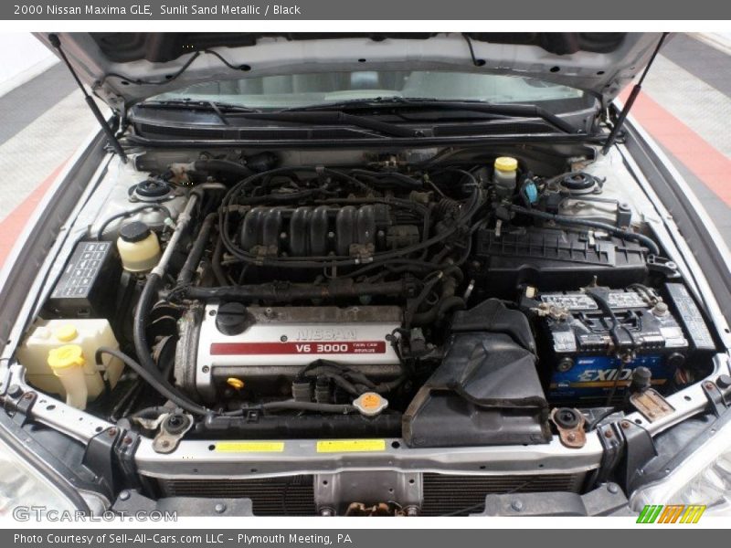 Sunlit Sand Metallic / Black 2000 Nissan Maxima GLE