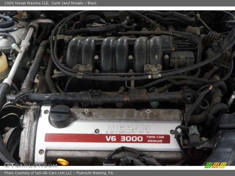 Sunlit Sand Metallic / Black 2000 Nissan Maxima GLE