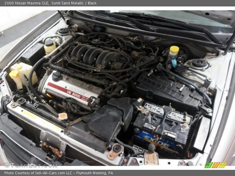 Sunlit Sand Metallic / Black 2000 Nissan Maxima GLE