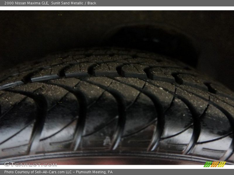 Sunlit Sand Metallic / Black 2000 Nissan Maxima GLE