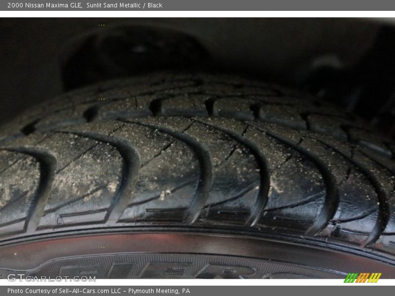Sunlit Sand Metallic / Black 2000 Nissan Maxima GLE
