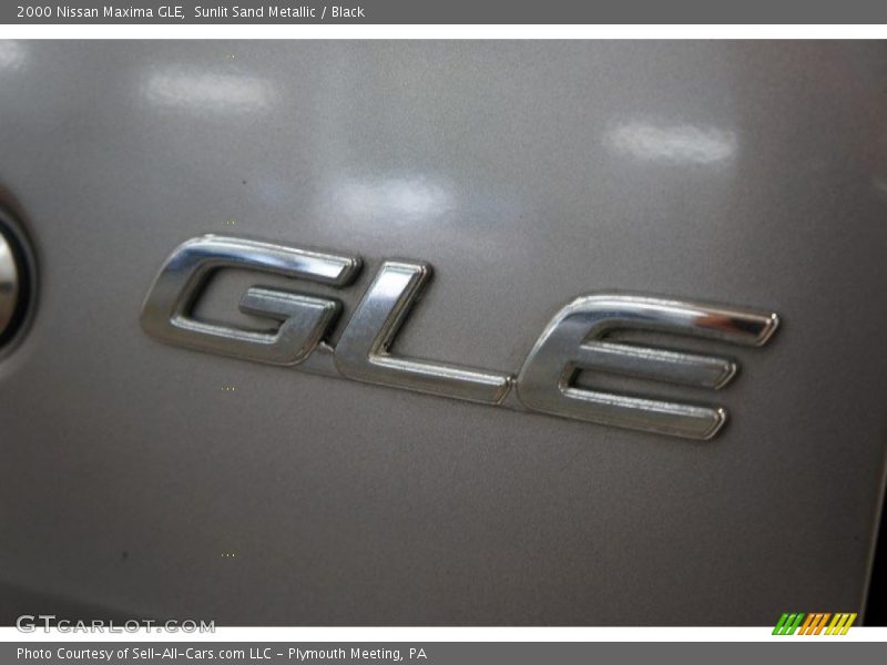 Sunlit Sand Metallic / Black 2000 Nissan Maxima GLE