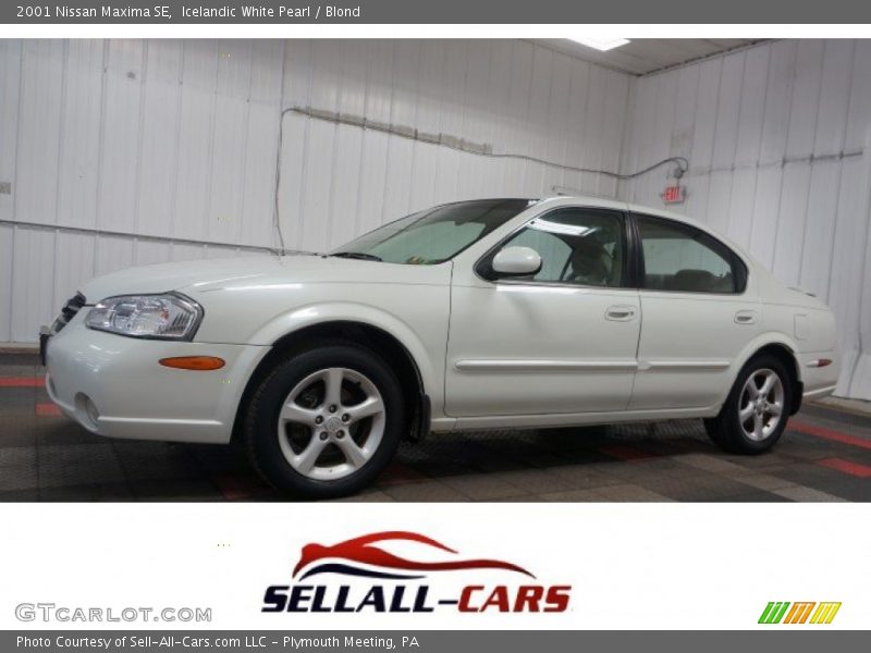 Icelandic White Pearl / Blond 2001 Nissan Maxima SE