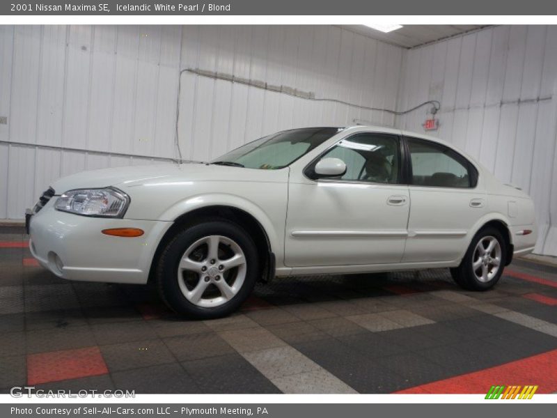 Icelandic White Pearl / Blond 2001 Nissan Maxima SE
