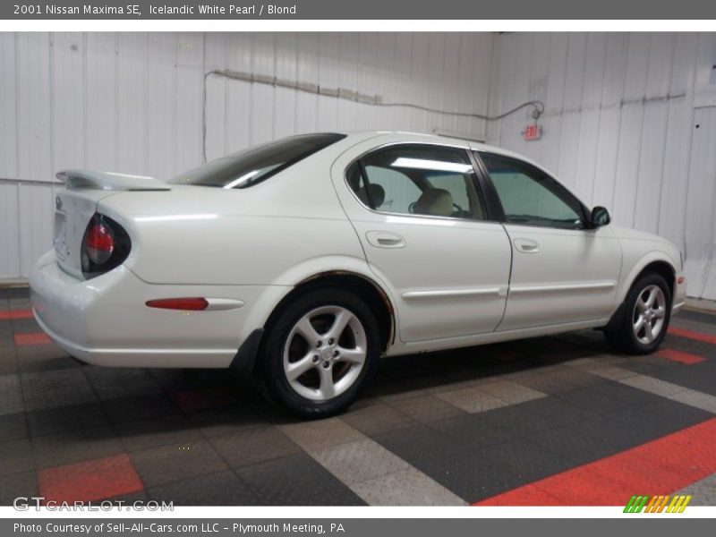 Icelandic White Pearl / Blond 2001 Nissan Maxima SE