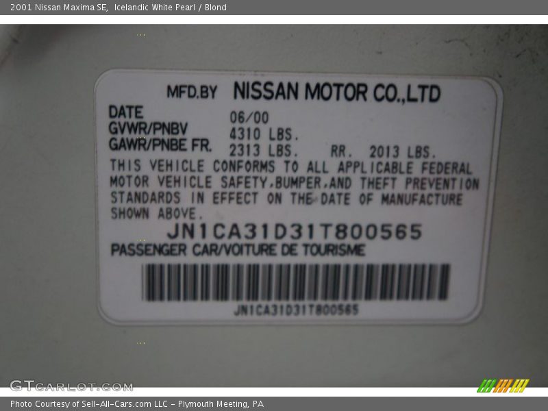 Icelandic White Pearl / Blond 2001 Nissan Maxima SE