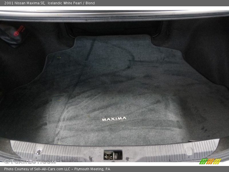 Icelandic White Pearl / Blond 2001 Nissan Maxima SE