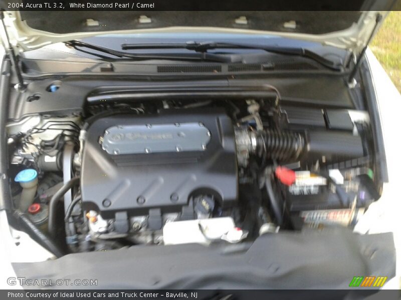 White Diamond Pearl / Camel 2004 Acura TL 3.2