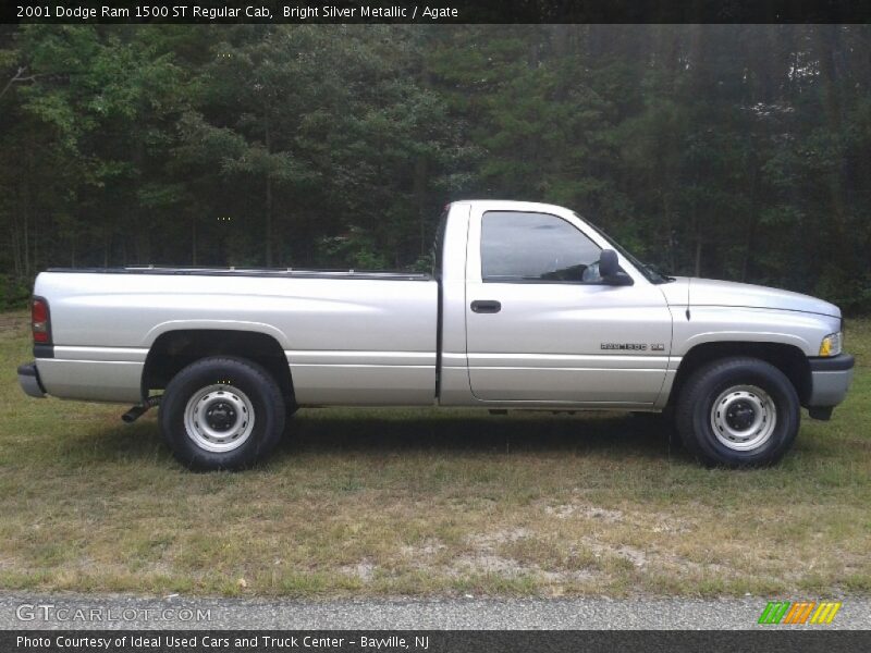 Bright Silver Metallic / Agate 2001 Dodge Ram 1500 ST Regular Cab