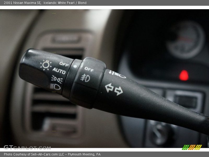 Icelandic White Pearl / Blond 2001 Nissan Maxima SE