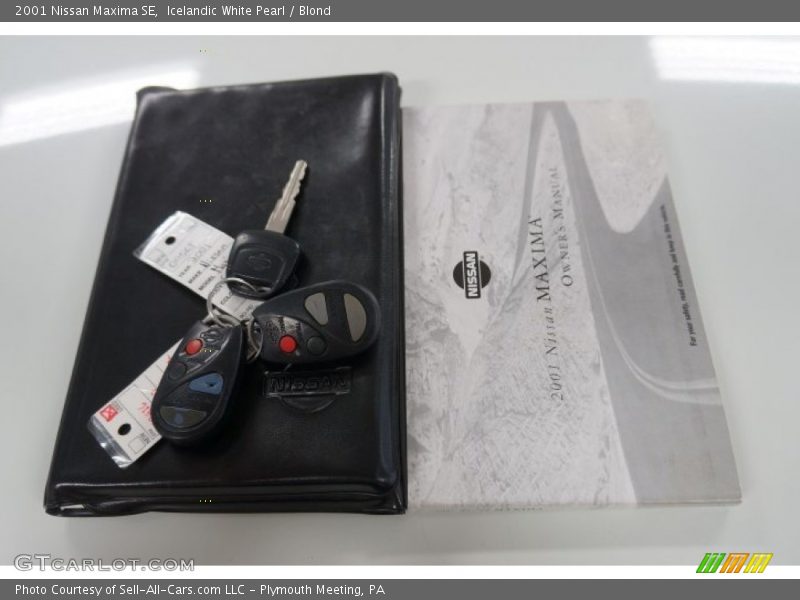 Icelandic White Pearl / Blond 2001 Nissan Maxima SE