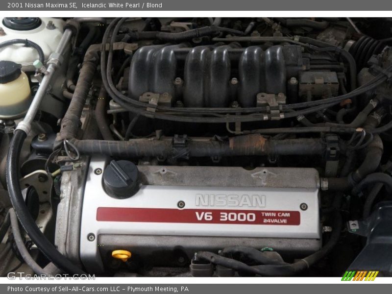 Icelandic White Pearl / Blond 2001 Nissan Maxima SE