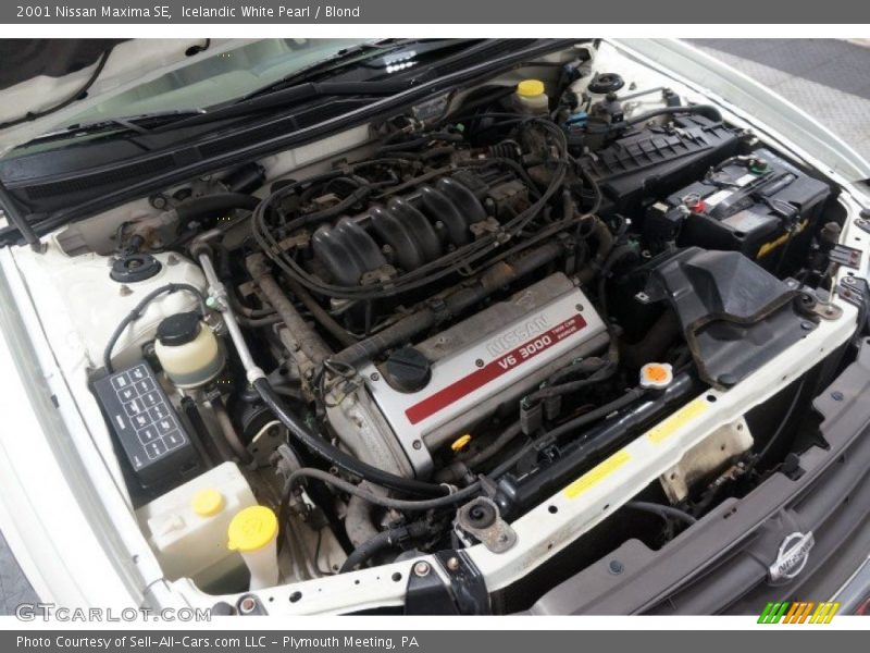 Icelandic White Pearl / Blond 2001 Nissan Maxima SE