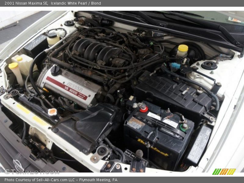 Icelandic White Pearl / Blond 2001 Nissan Maxima SE