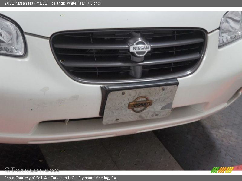 Icelandic White Pearl / Blond 2001 Nissan Maxima SE