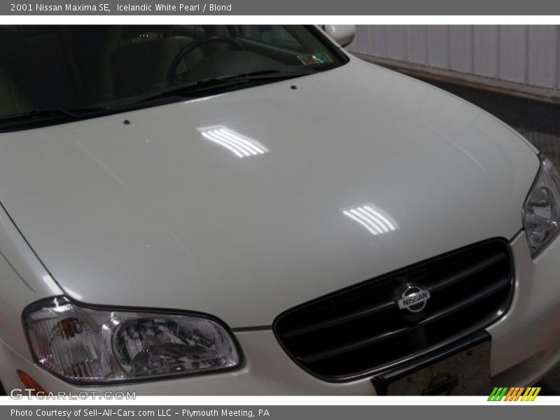 Icelandic White Pearl / Blond 2001 Nissan Maxima SE