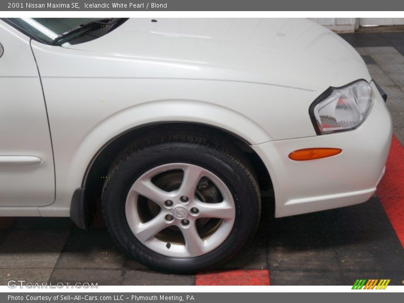 Icelandic White Pearl / Blond 2001 Nissan Maxima SE