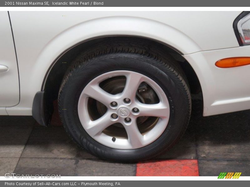 Icelandic White Pearl / Blond 2001 Nissan Maxima SE
