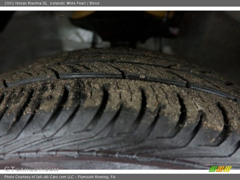 Icelandic White Pearl / Blond 2001 Nissan Maxima SE