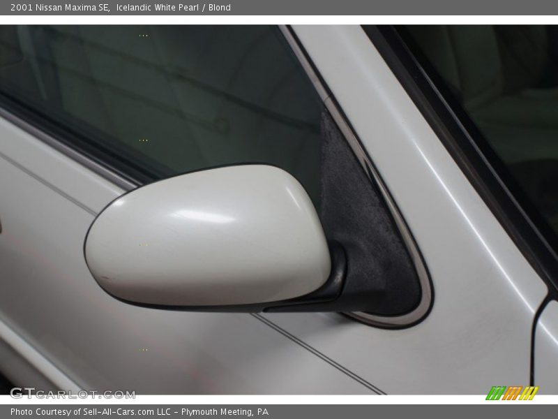 Icelandic White Pearl / Blond 2001 Nissan Maxima SE