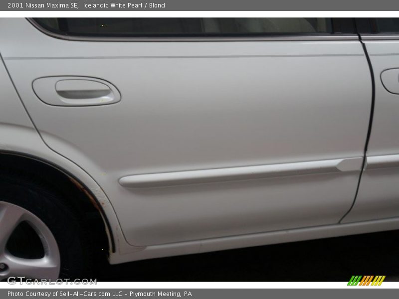 Icelandic White Pearl / Blond 2001 Nissan Maxima SE