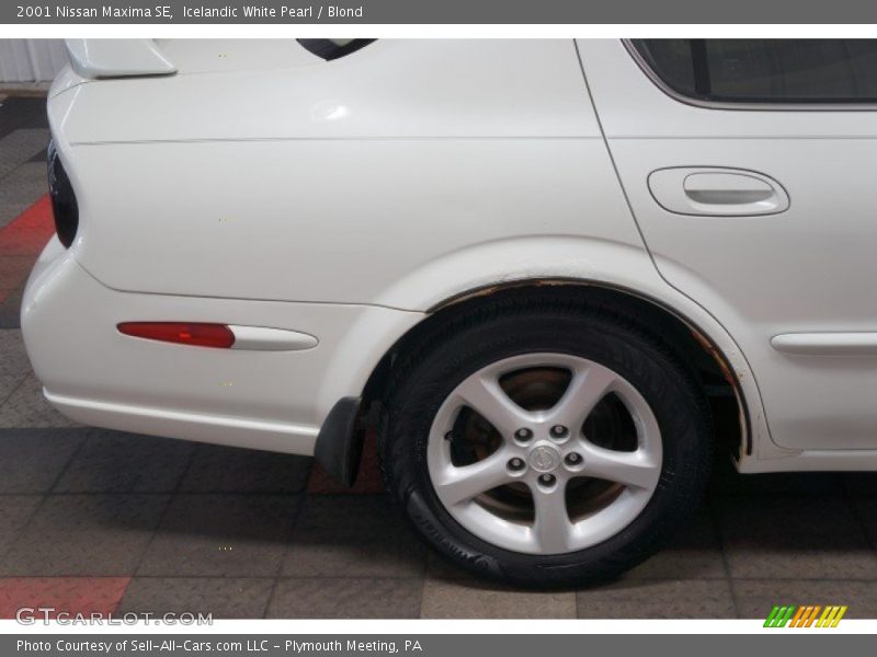 Icelandic White Pearl / Blond 2001 Nissan Maxima SE