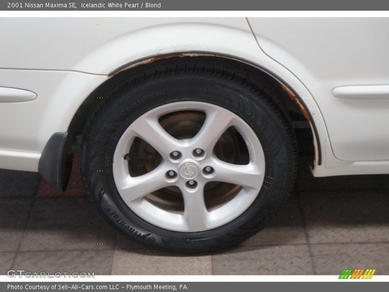 Icelandic White Pearl / Blond 2001 Nissan Maxima SE