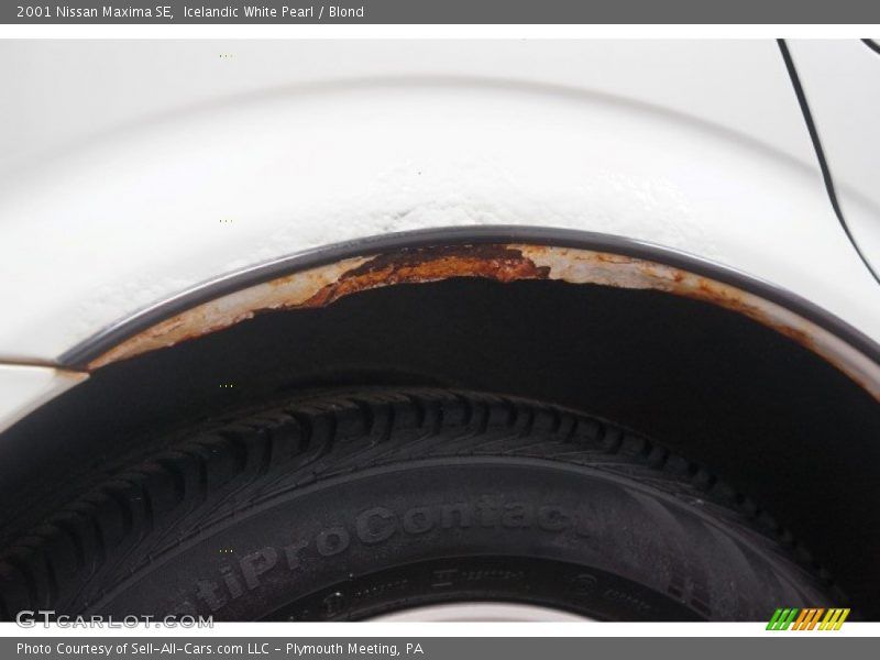 Icelandic White Pearl / Blond 2001 Nissan Maxima SE