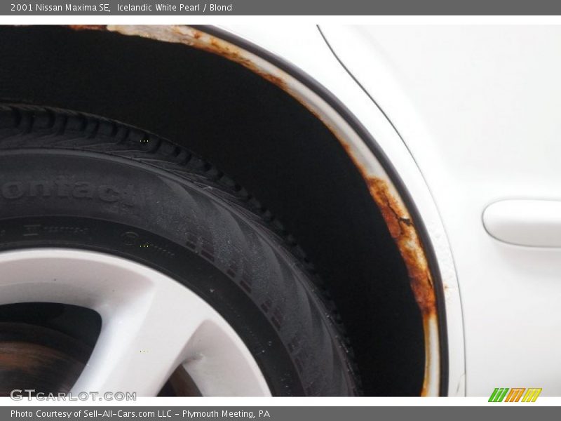 Icelandic White Pearl / Blond 2001 Nissan Maxima SE