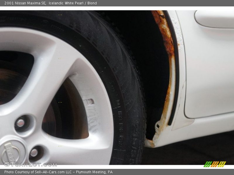 Icelandic White Pearl / Blond 2001 Nissan Maxima SE