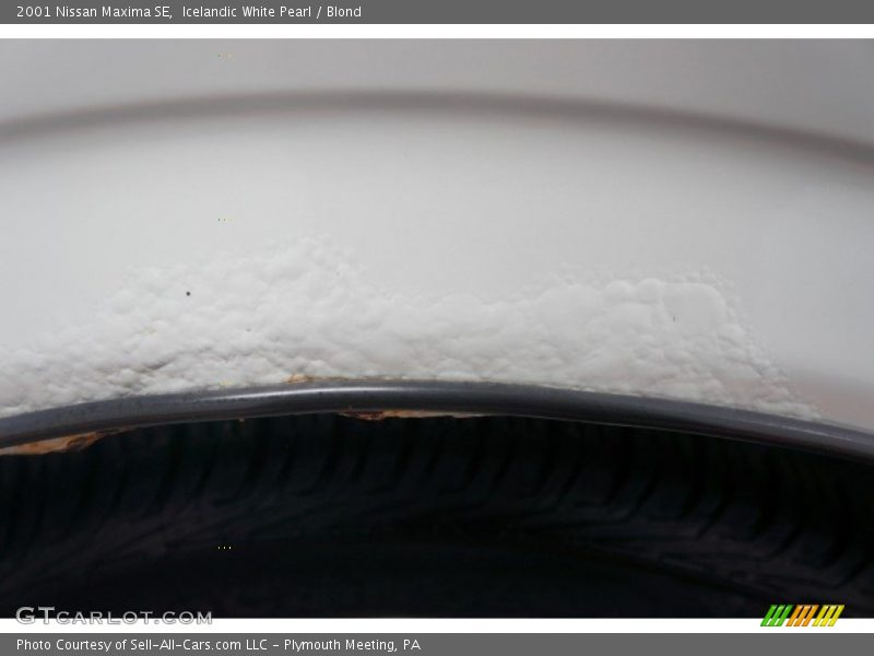 Icelandic White Pearl / Blond 2001 Nissan Maxima SE