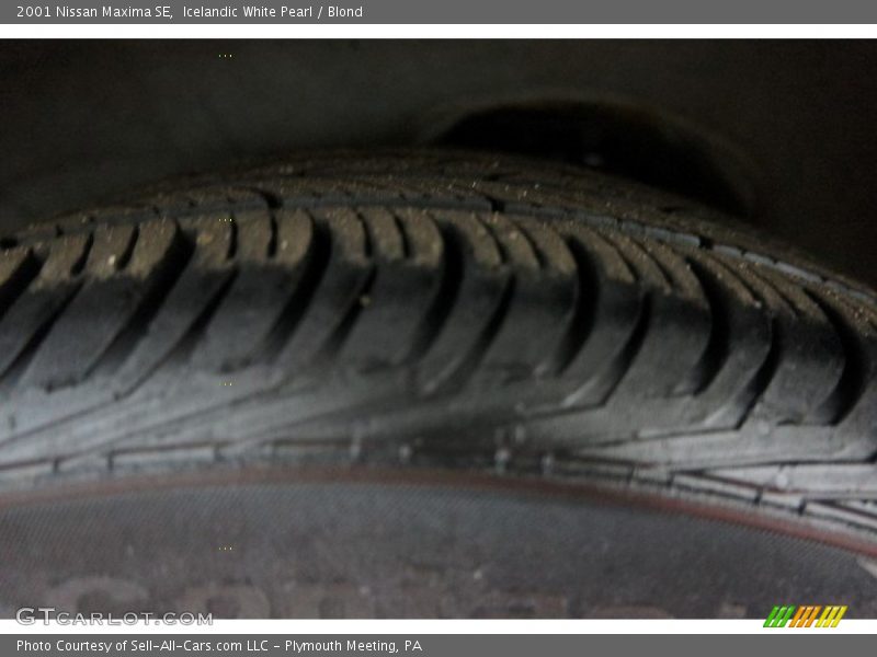 Icelandic White Pearl / Blond 2001 Nissan Maxima SE