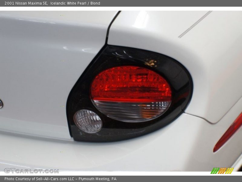 Icelandic White Pearl / Blond 2001 Nissan Maxima SE