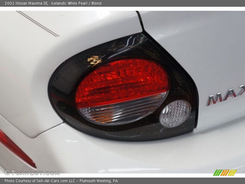 Icelandic White Pearl / Blond 2001 Nissan Maxima SE