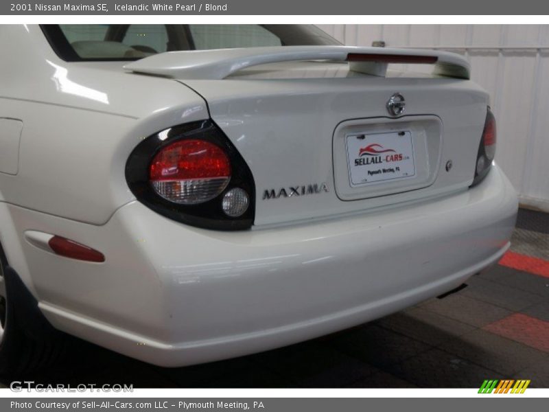 Icelandic White Pearl / Blond 2001 Nissan Maxima SE