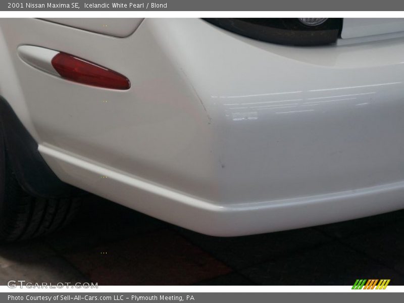 Icelandic White Pearl / Blond 2001 Nissan Maxima SE