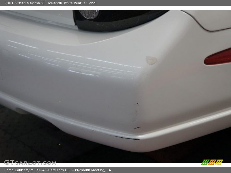 Icelandic White Pearl / Blond 2001 Nissan Maxima SE