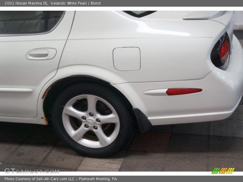 Icelandic White Pearl / Blond 2001 Nissan Maxima SE